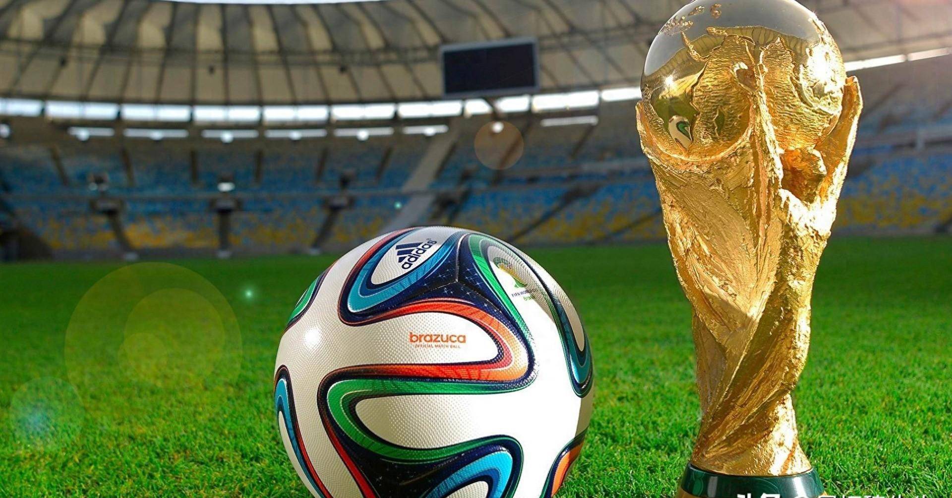 强调开放世 强调开放世