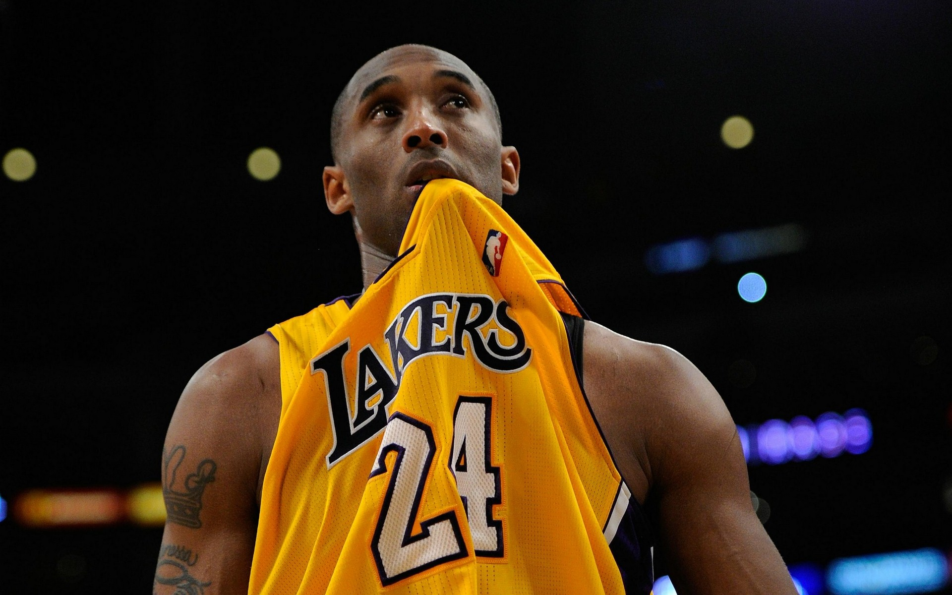 林的组织节 林的组织节