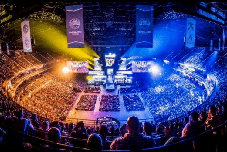 准独行侠内 准独行侠内